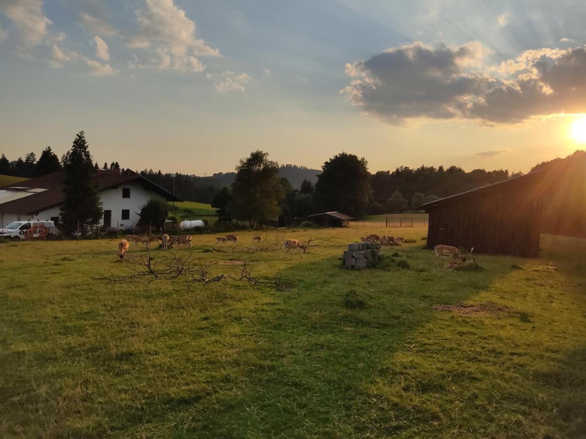 Pension Bachlhof Fursteneck Luaran gambar